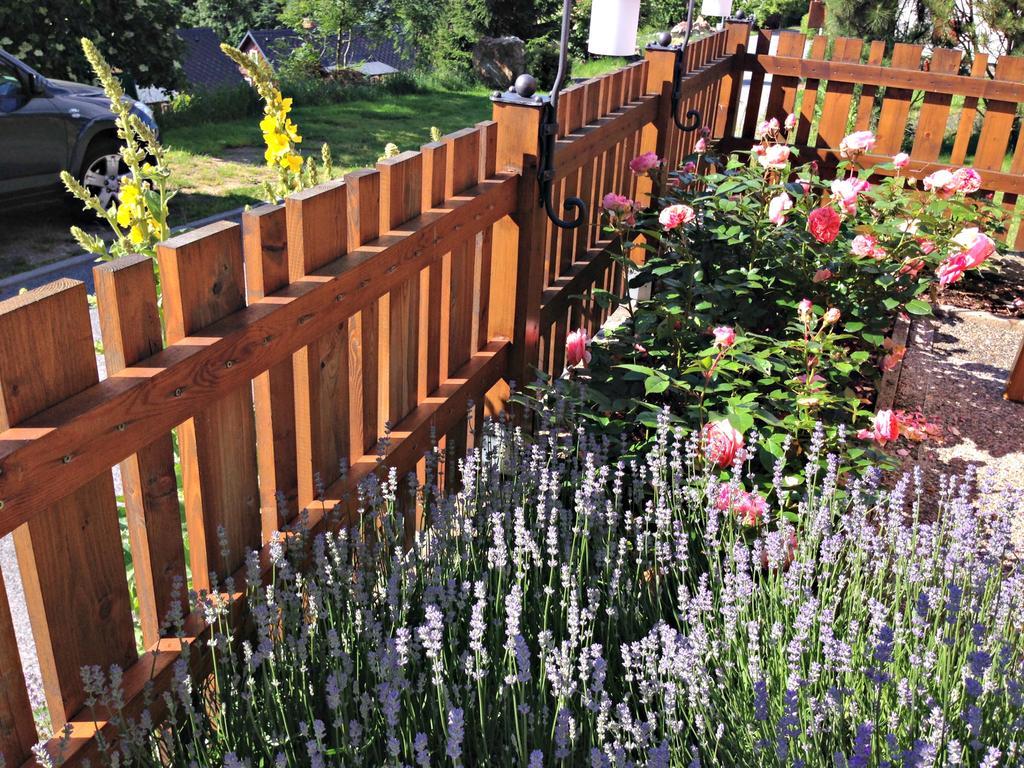 B&B Na Kopecku Rokytnice nad Jizerou Esterno foto